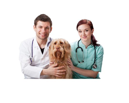 κτηνίατρος